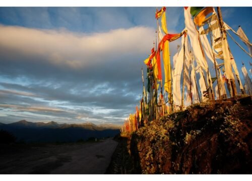 Owl Trek Bumthang