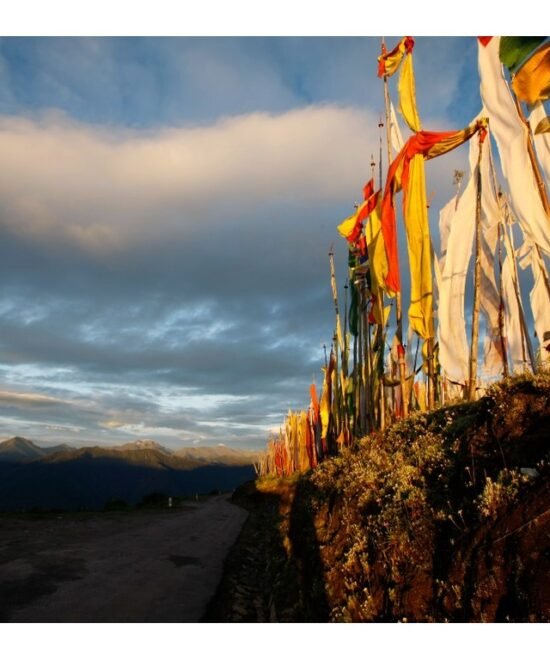 Owl Trek Bumthang