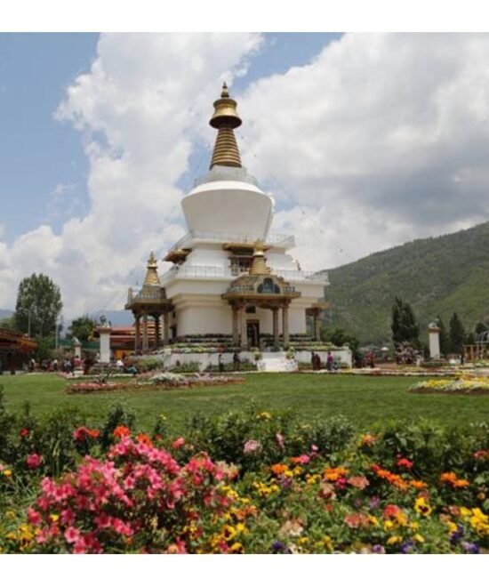 Shortest Bhutan Tour